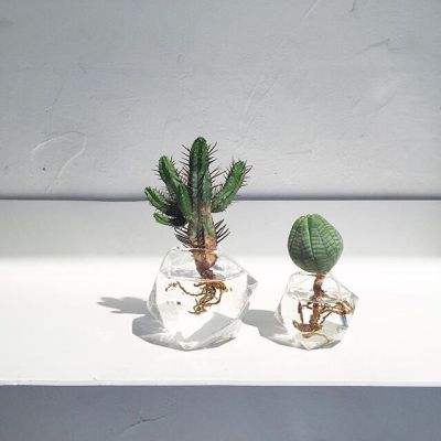 pg娱乐电子游戏平台官方版